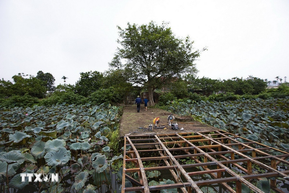 Nhiều công trình nhà ở, vườn cây ăn quả đã được người dân xóm Bá Lam, xã Cao Dương xây dựng trong khuôn viên đã và đang làm mất đi những dấu vết còn sót lại của địa danh này. (Ảnh: Trọng Đạt/TTXVN)