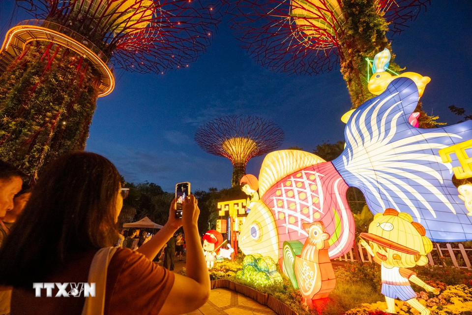 Triển lãm đèn lồng đón Trung thu diễn ra từ ngày 22/9 đến 12/10/2025 tại Singapore, trưng bày các tác phẩm nghệ thuật đèn lồng khổng lồ rực rỡ sắc màu, thu hút người dân và du khách tới tham quan. (Ảnh: THX/TTXVN)