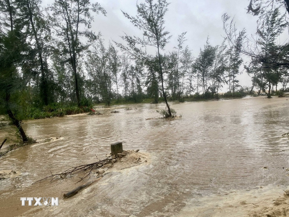 Nước biển dâng cao, tràn vào khu vực rừng phòng hộ gần khu dân cư ở xã Đan Hải. (Ảnh: Hữu Quyết/TTXVN)