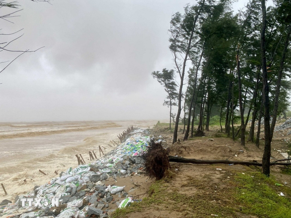 Sóng to, gió mạnh tại khu vực đê Hội Thống, xã Đan Hải. (Ảnh: Hữu Quyết/TTXVN)