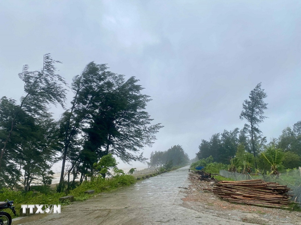 Tuyến đê Hội Thống, xã Đan Hải chịu tác động trực tiếp của bão số 5 do nước biển dâng và sóng mạnh. (Ảnh: Hữu Quyết/TTXVN)