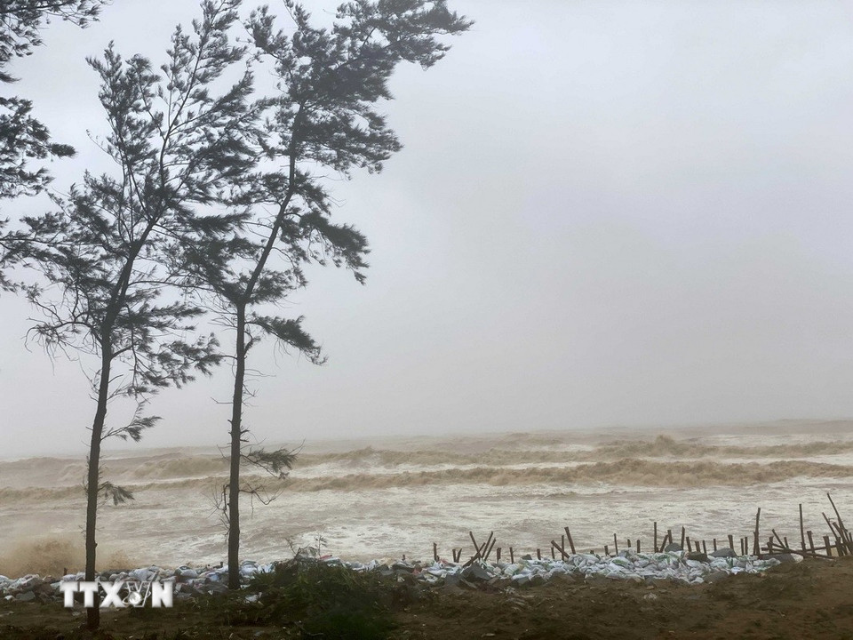 Bão số 5 gây sóng to, gió mạnh tại khu vực đê Hội Thống, xã Đan Hải. (Ảnh: Hữu Quyết/TTXVN)