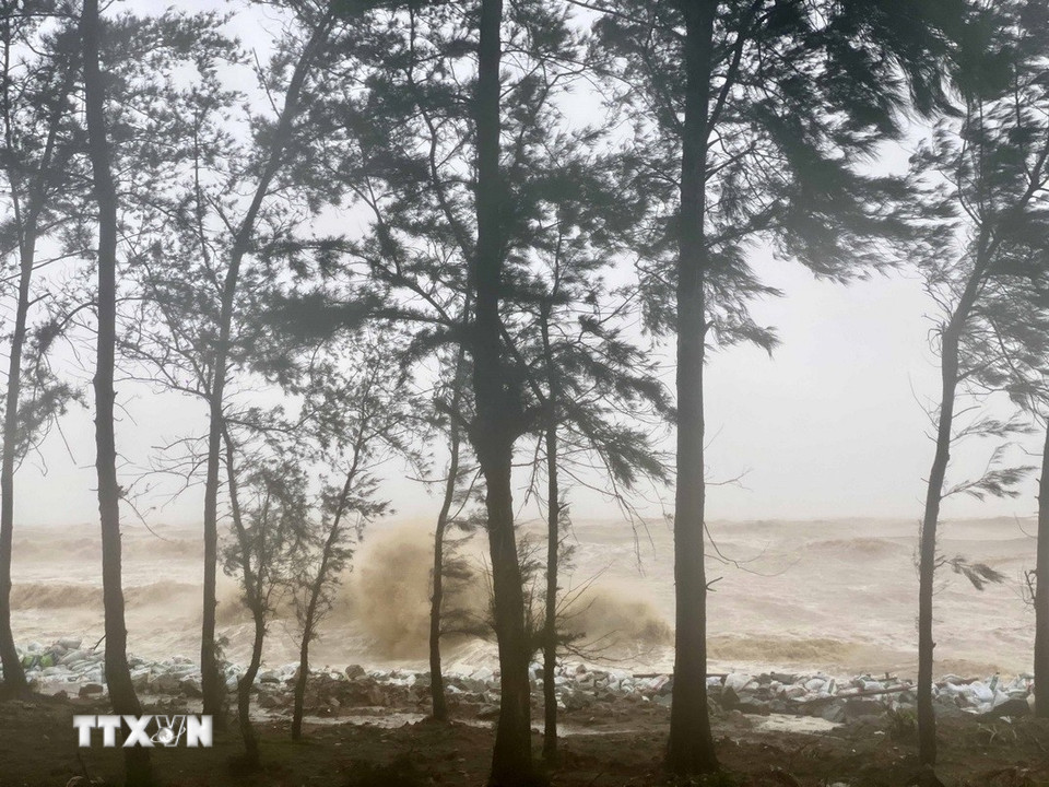 Nước biển dâng cao, áp sát khu vực kè bảo vệ tại tuyến đê Hội Thống, xã Đan Hải. (Ảnh: Hữu Quyết/TTXVN)