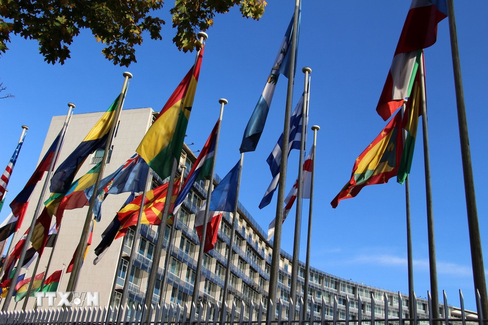 Ngày 22/7/2025, Mỹ chính thức rút khỏi Tổ chức Giáo dục, Khoa học và Văn hóa của Liên hợp quốc (UNESCO) với lý do việc tiếp tục tham gia không còn phục vụ lợi ích quốc gia của nước này. Ảnh: Người phát ngôn Bộ Ngoại giao Mỹ Tammy Bruce. (Ảnh: THX/TTXVN)