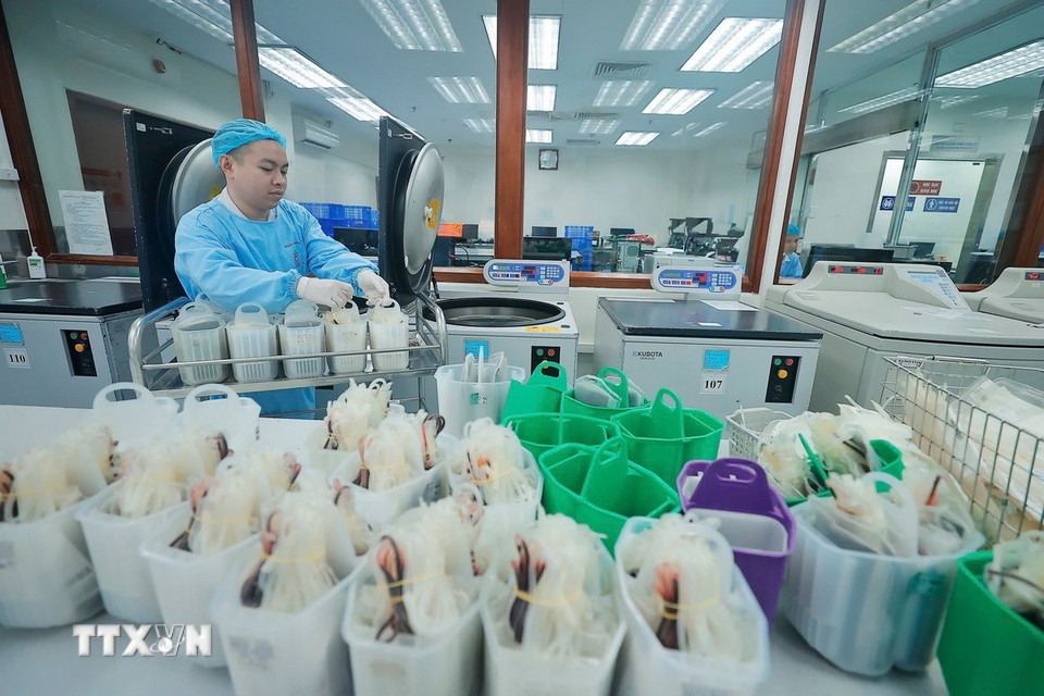 Khi cho vào quay ly tâm các định lượng mẫu sẽ được chia thành các bịch bằng nhau. (Ảnh: Minh Quyết/TTXVN)