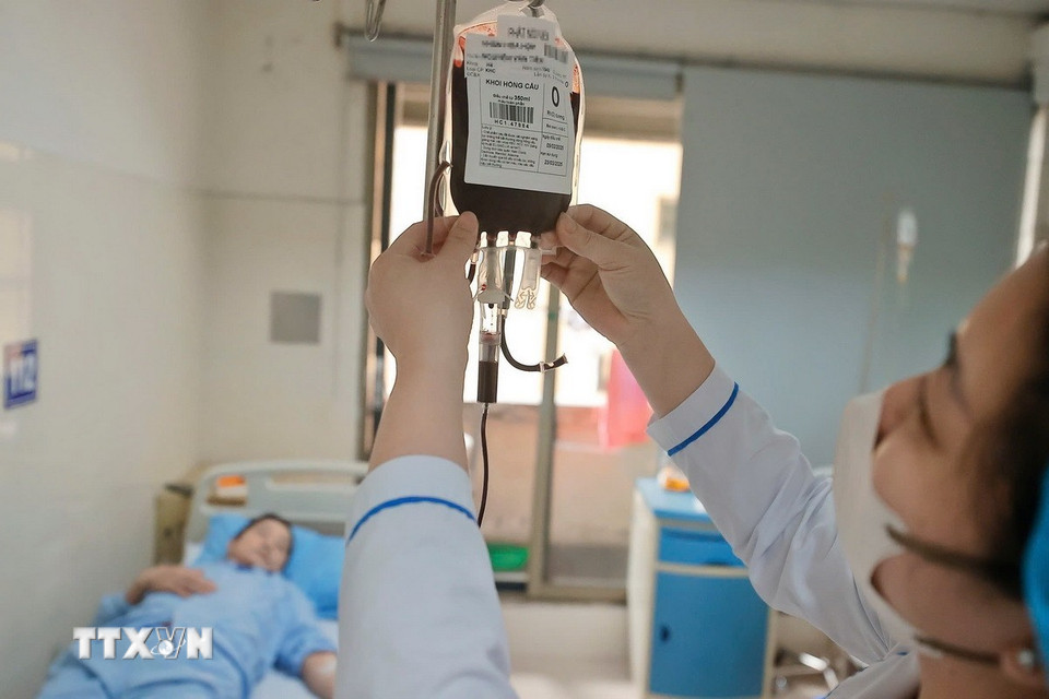 Mỗi thành phẩm máu được nhập thông tin sau đó chuyển vào kho lưu trữ và phân phối máu (Viện Huyết học-Truyền máu Trung ương). (Ảnh: Minh Quyết/TTXVN)