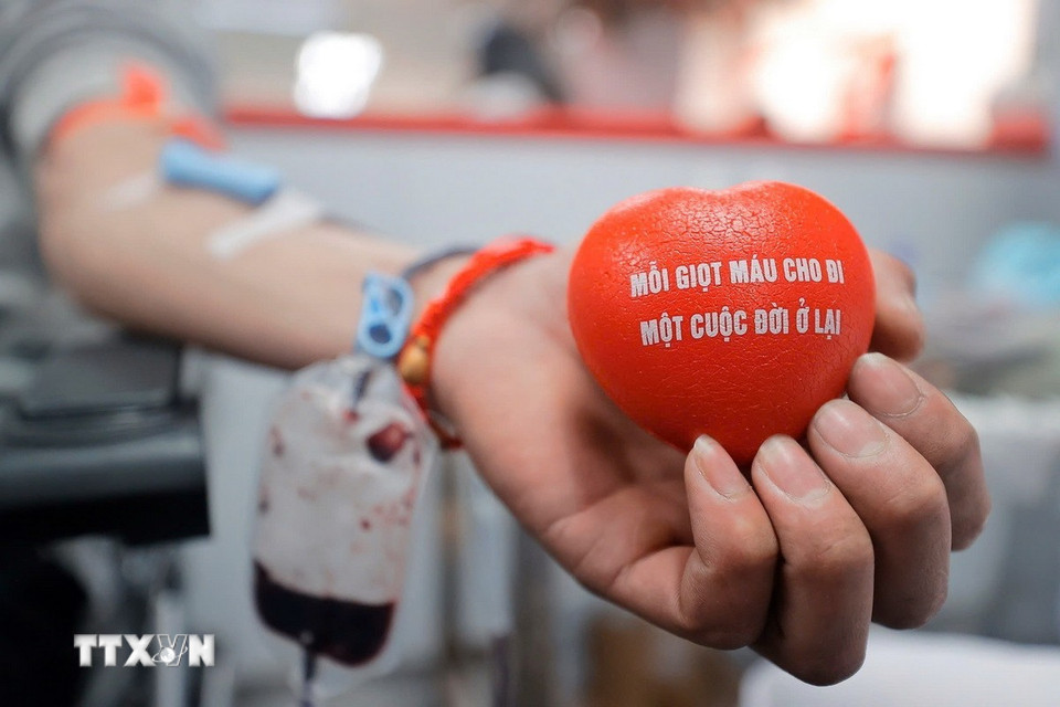 Hiến máu cứu người là một nghĩa cử cao đẹp, thể hiện tinh thần tương thân thương ái của dân tộc Việt Nam. (Ảnh: Minh Quyết/TTXVN)