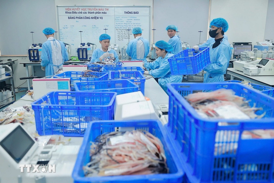 Khoa điều chế các thành phần máu tại Viện Huyết học-Truyền máu Trung ương. (Ảnh: Minh Quyết/TTXVN)
