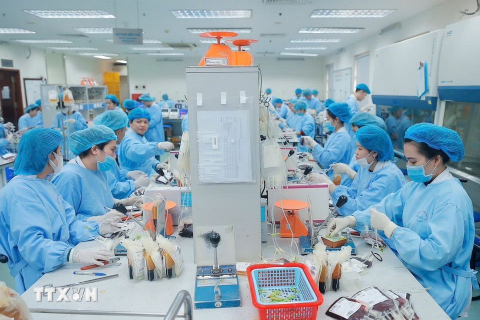 Bên trong “phân xưởng” điều chế máu lớn nhất Việt Nam tại Viện Huyết học-Truyền máu Trung ương. (Ảnh: Minh Quyết/TTXVN)