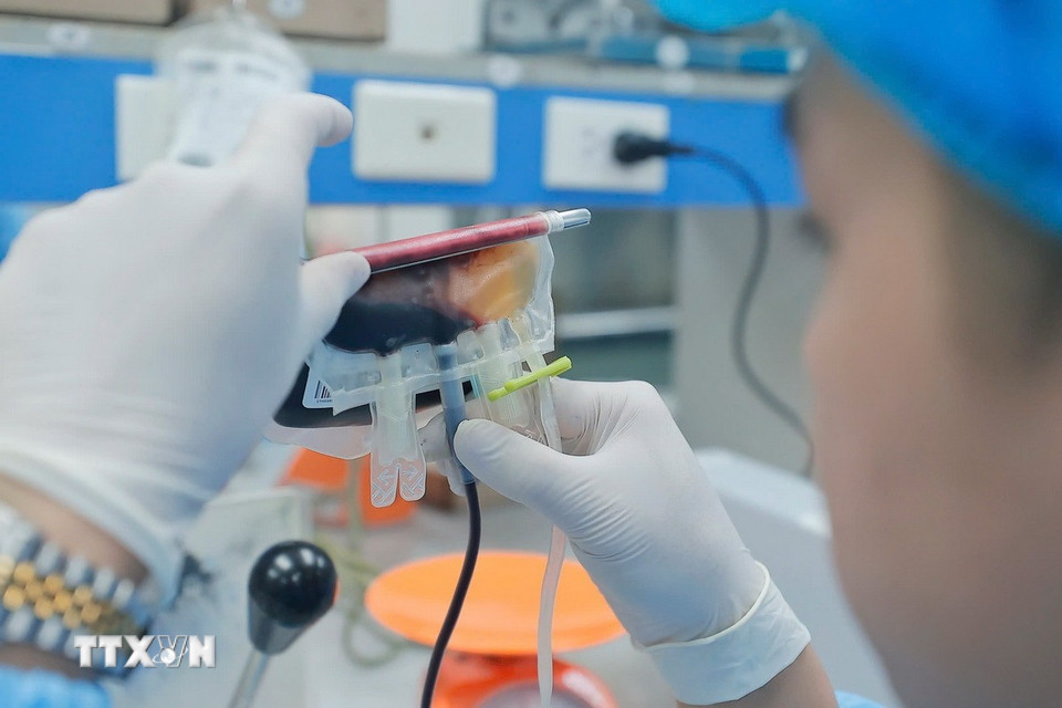 Công đoạn tách hồng cầu. (Ảnh: Minh Quyết/TTXVN)