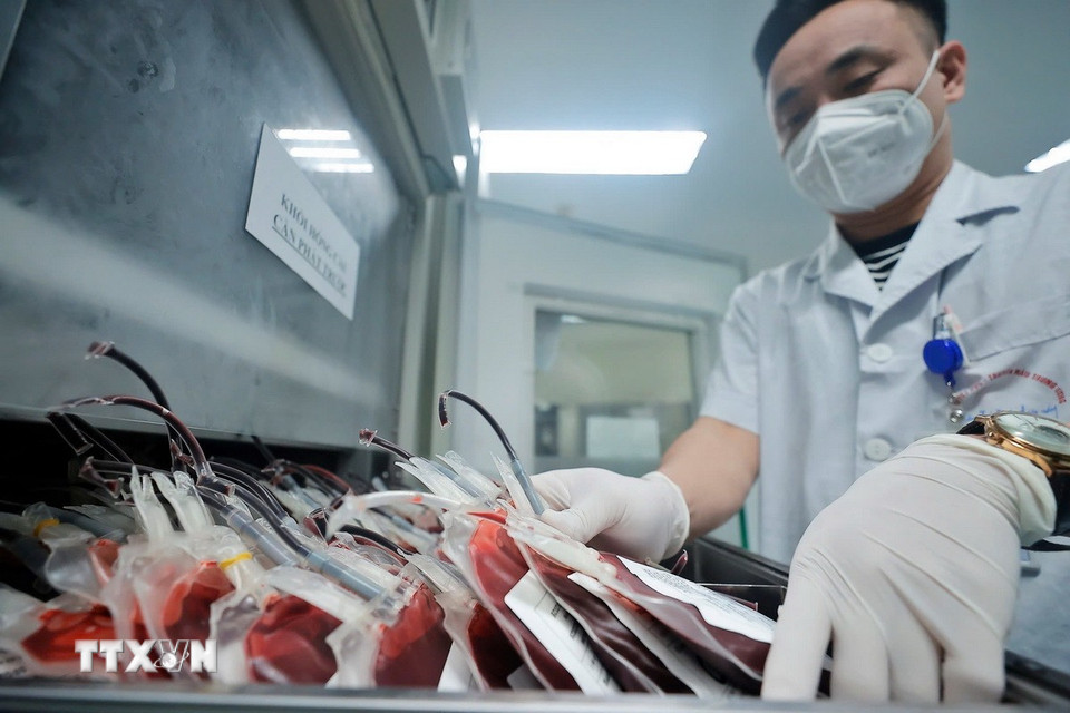 Thành phẩm khối hồng cầu sau khi tách chiết được chuyển vào kho lưu trữ và phân phối máu (Viện Huyết học-Truyền máu Trung ương). (Ảnh: Minh Quyết/TTXVN)