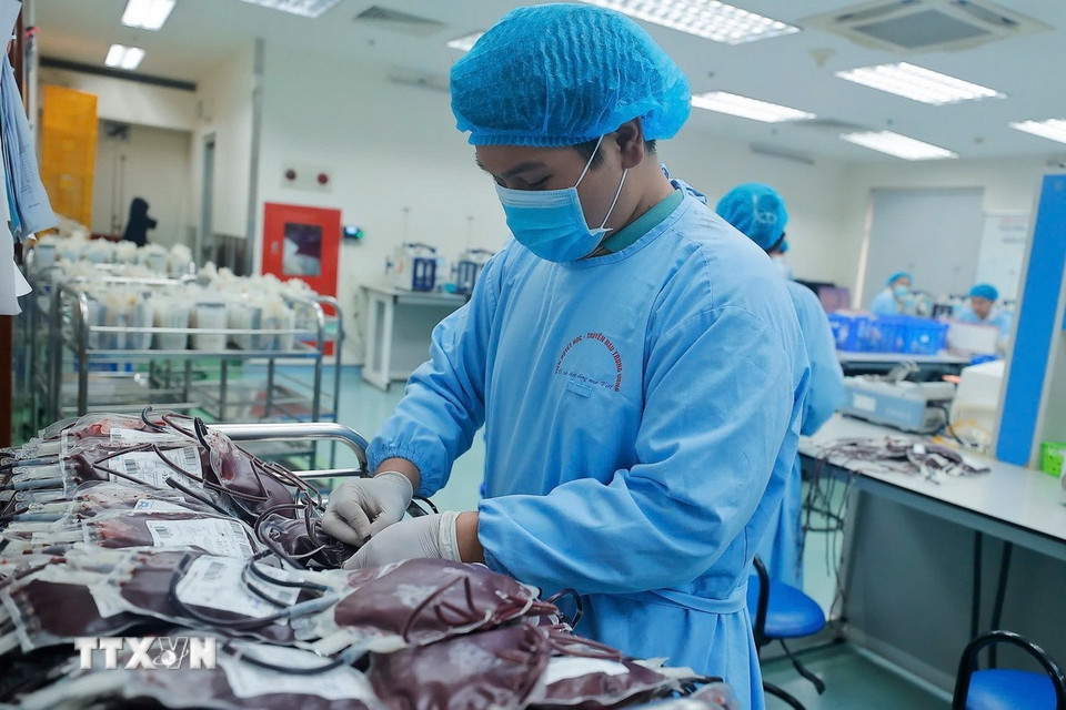 Những chế phẩm máu để dùng được cần phải qua các quy trình với nhiều công đoạn điều chế tỉ mỉ và chính xác tại Viện Huyết học-Truyền máu Trung ương để tách chiết thành phẩm máu an toàn phục vụ cho bệnh nhân. (Ảnh: Minh Quyết/TTXVN)