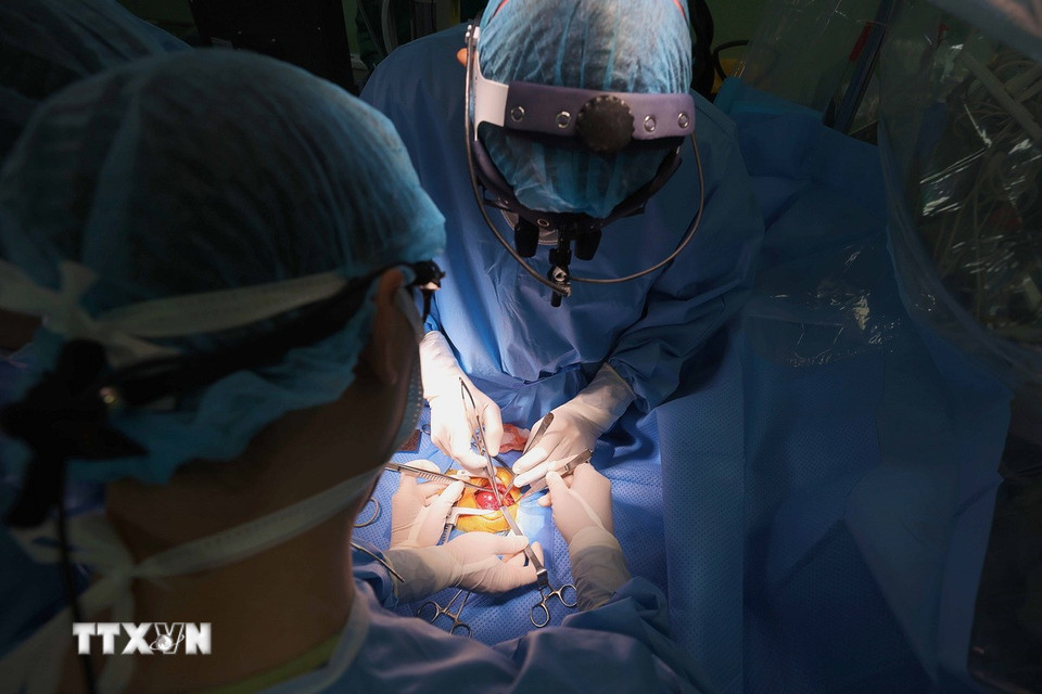 Khi mổ, bệnh nhân sẽ đối diện với việc quả tim ngừng đập tạm thời, máu chạy qua máy tuần hoàn máu ngoài cơ thể, các bác sỹ phải khống chế thời gian chuẩn xác từ 1-2h để khi tim đập lại thì đập tốt, tránh khả năng suy tim. (Ảnh: Hoàng Hiếu/TTXVN)