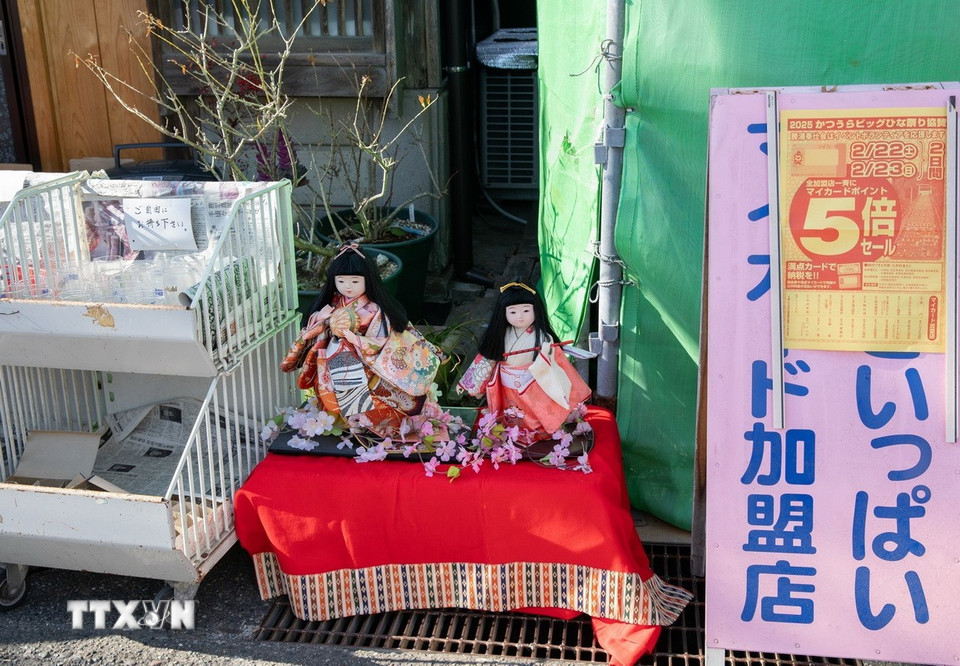 Búp bê được trưng bày trong thành phố Katsuura vào dịp lễ hội Hina Matsuri. (Ảnh: Xuân Giao/TTXVN)