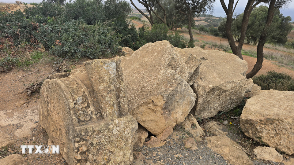 Các tảng đá rơi từ lăng mộ cho thấy mức độ tinh xảo của thợ đá cổ đại với văn chạm trổ tinh tế. (Ảnh: Nguyễn An/TTXVN)