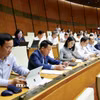 Đoàn đại biểu Quốc hội tỉnh Thanh Hóa tham dự phiên họp của Quốc hội. (Ảnh: Doãn Tấn/TTXVN)