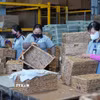 Hoạt động sản xuất tại Công ty TNHH Xuất nhập khẩu Bình An Thịnh (xã Tân Phước 1, tỉnh Đồng Tháp). (Ảnh: Nhựt An/TTXVN)