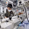 Sản xuất quần áo xuất khẩu sang thị trường Hoa Kỳ tại Công ty may TAL Vĩnh Phúc. (Ảnh: Trần Việt/TTXVN)