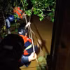 Lực lượng chức năng đu dây ra giữa dòng kênh để cứu người. (Ảnh: TTXVN phát)