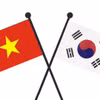 Quốc kỳ Việt Nam-Hàn Quốc. (Nguồn: Vietnam+)