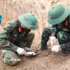 Đội Quy tập hài cốt liệt sỹ Bộ Chỉ huy Quân sự tỉnh Khánh Hòa cẩn trọng đào từng lớp đất để tìm kiếm hài cốt và di vật. (Ảnh: Xuân Triệu/TTXVN)