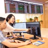 Khách hàng giao dịch chứng khoán. (Ảnh: Trần Việt/TTXVN)