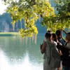 Những buổi chiều Thu nắng vàng như rót mật làm nao lòng du khách. (Ảnh: Minh Quyết/TTXVN)