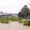 Xã Hàm Liêm ngập diện rộng do mưa lớn sáng 4/12. (Ảnh: Hồng Hiếu/TTXVN)