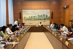 Các đại biểu thảo luận tại tổ. (Ảnh: PV/Vietnam+)