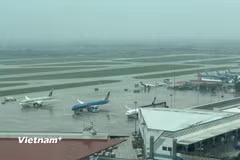 Máy bay của các hãng hàng không tại sân bay nước ta. (Ảnh: PV/Vietnam+)