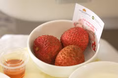Việc lựa chọn phục vụ các sản phẩm như vải trứng Hưng Yên hay mận hậu Sơn La trên các chuyến bay của Vietnam Airlines là minh chứng cho chất lượng ngày càng nâng cao của nông sản Việt Nam. (Ảnh: PV/Vietnam+)
