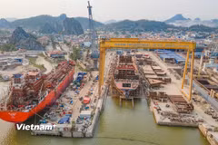 Việt Nam hiện đang đứng ở vị trí thứ 7 trong ngành công nghiệp đóng tàu trên thế giới. (Ảnh: Việt Hùng/Vietnam+)