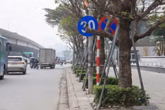 Cột biển báo giao thông được cắm giữa hàng cây và rất dễ bị che khuất tầm nhìn với người đi đường. (Ảnh: PV/Vietnam+)