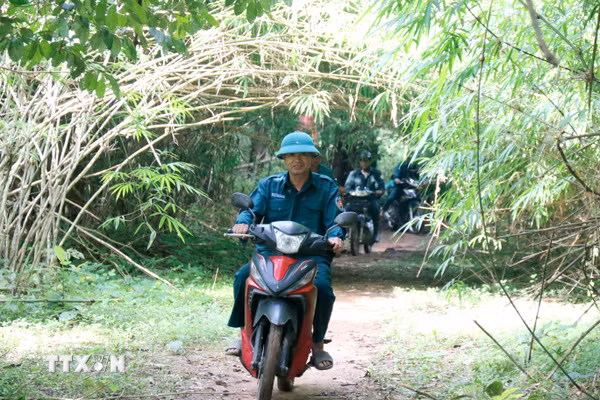 Lâm Đồng huy động lực lượng bảo vệ hơn 1,1 triệu ha rừng trước mùa khô