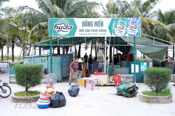 Đồng thuận tháo dỡ kiốt, trả lại không gian bãi biển Nhật Lệ
