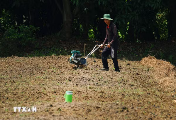 Cần Thơ: Chủ động giữ nguồn nước ngọt, bảo đảm sinh kế người dân