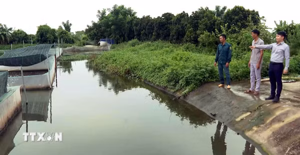 Những tấm gương đổi mới tư duy nông nghiệp tại Ninh Bình