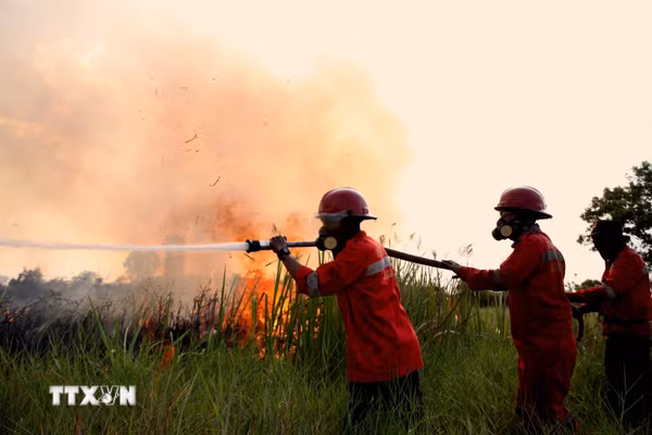 Cháy rừng đe dọa di sản tranh hang động cổ nhất thế giới tại Indonesia