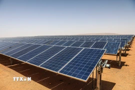 (Ảnh minh họa. THX/TTXVN)