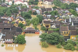 Chùa Cầu-Biểu tượng của Hội An bị ngập lên gần mái trong đợt mưa lũ lịch sử. (Ảnh: Anh Dũng/TTXVN)