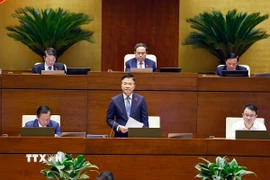 Phó Thủ tướng Chính phủ Lê Thành Long phát biểu giải trình, làm rõ một số vấn đề đại biểu Quốc hội nêu. (Ảnh: Doãn Tấn/TTXVN)