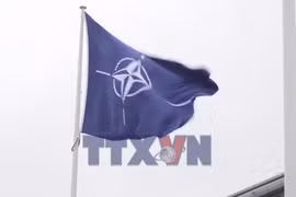 NATO tìm hiểu lý do Mỹ cắt giảm 5.000 binh sỹ đồn trú tại Đức
