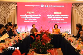 Quang cảnh Hội nghị. (Ảnh: Đoàn Mạnh Dương/TTXVN)