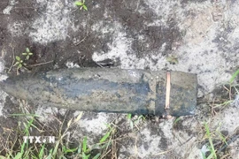 Các quả đạn pháo còn sót lại sau chiến tranh được người dân phát hiện trong quá trình lao động sản xuất. (Ảnh: TTXVN phát)