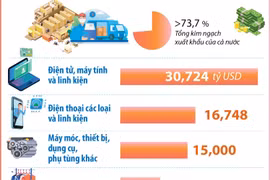 9 mặt hàng đạt kim ngạch xuất khẩu trên 2,5 tỷ USD 