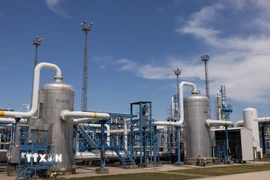 Cơ sở dự trữ khí đốt tự nhiên tại Zsana, Hungary. (Ảnh: THX/TTXVN)