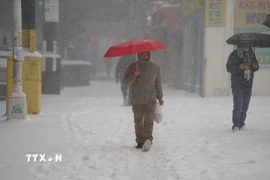 Tuyết rơi dày tại New York, Mỹ. (Ảnh: THX/TTXVN)
