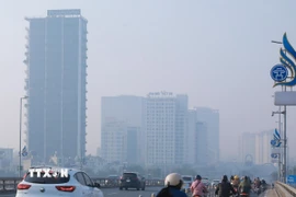 (Ảnh minh họa: Phan Phương/TTXVN)