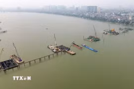 Tranh thủ thời tiết thuận lợi đầu năm, các nhà thầu thi công cầu Trần Hưng Đạo vượt sông Hồng đang huy động tối đa nhân lực, máy móc, tổ chức nhiều mũi thi công song song, quyết tâm bám “đường găng” tiến độ để đưa công trình về đích đúng cam kết. (Ảnh: Quốc Khánh/TTXVN)
