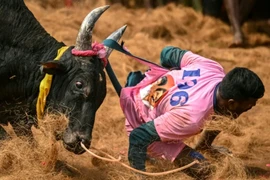 (Ảnh minh họa. Nguồn: AFP)